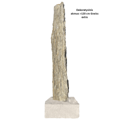 Dekoratyvinis akmuo >120 cm Gneiss extra su betono pagrindu