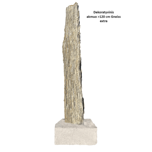 Dekoratyvinis akmuo >120 cm Gneiss extra su betono pagrindu