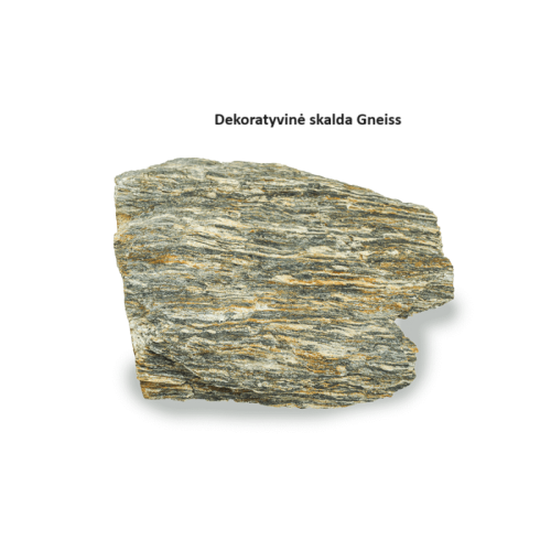 Dekoratyviniai akmenys Gneiss